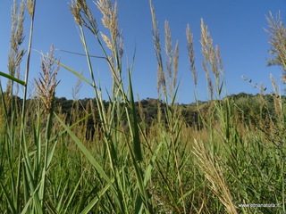 San Filippo Calatabiano
